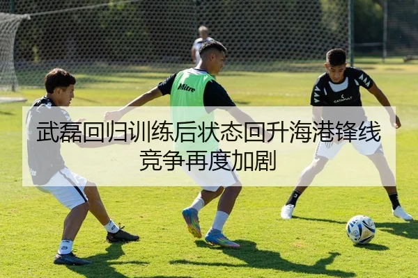 武磊回归训练后状态回升海港锋线竞争再度加剧